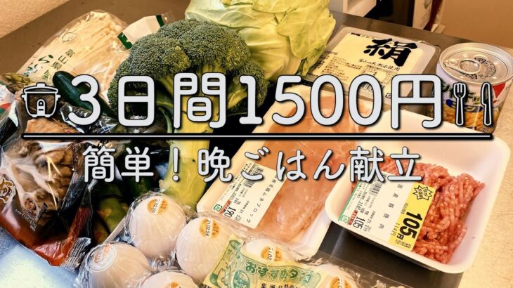 【節約レシピ】時短！1500円で３日分晩ごはん！