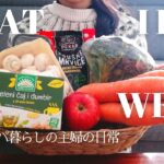 ヨーロッパ暮らしの主婦/1週間分の食材と献立/WHAT I BUY IN A WEEK/海外在住vlog