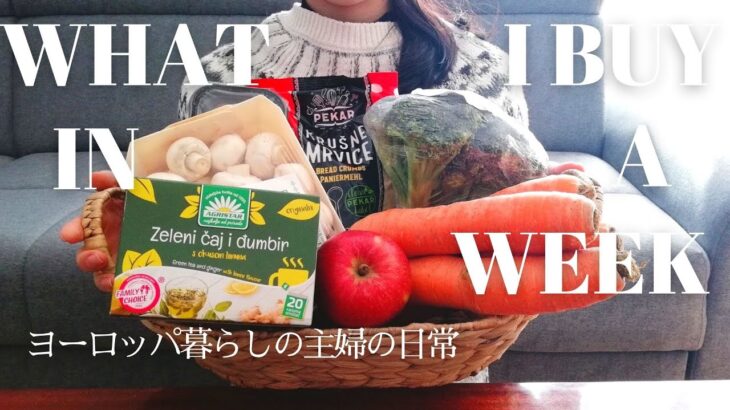 ヨーロッパ暮らしの主婦/1週間分の食材と献立/WHAT I BUY IN A WEEK/海外在住vlog