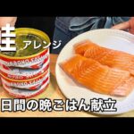 【鮭アレンジ】低糖質高たんぱく質な晩ごはん献立２選【ダイエットレシピ】