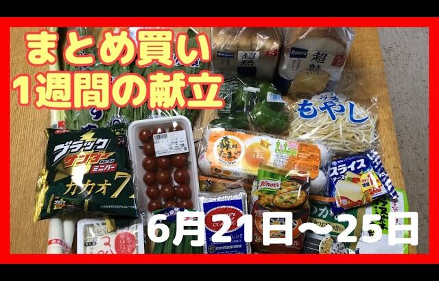 【献立】一週間のまとめ買いと毎日の夕飯の献立・6月20日夫婦2人暮らしのスーパー購入品・まとめ買い(嫁姑問題のモヤモヤした話を愚痴ってみた)