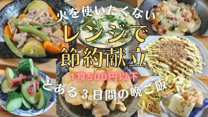 ◎節約晩ご飯 火を使わず時短&手間抜き料理 レンジだけで作る3日間1000円の献立【プレママパパの日常】