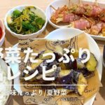 【夜ご飯献立】️介護福祉士/夏野菜がたっぷり食べられる🍆絶品レシピ🍅時短/共働き夫婦/簡単レシピ付き