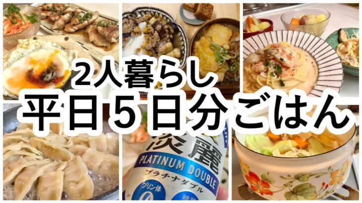 【一週間献立】平日５日分のリアル夜ご飯。時短×簡単レシピ【料理動画】