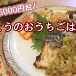 【食費1週間5000円台】きょうのおうちごはん〜鯖の香味ソース〜