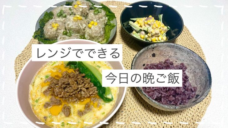 【今日の献立】肉料理/麺料理/しゅうまい/坦々麺