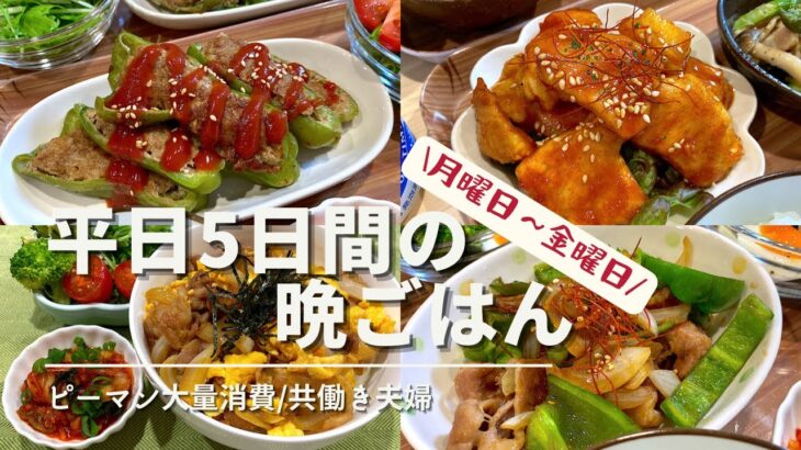 【節約レシピ②】平日5日間の晩ごはん/ピーマン大量消費🫑1週間の献立/和食ごはん/手抜き料理/自炊記録/共働き夫婦