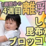 【離乳食4週間目】1週間分の離乳食の作り方♪しらす・昆布だし・ブロッコリー編