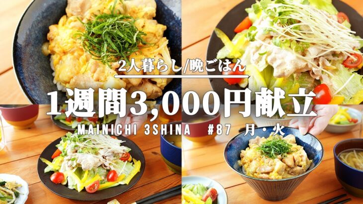 【1週間の晩御飯】夏はコレ!パパッと作れる簡単3品♫5日間の夕飯献立【#87 前編】