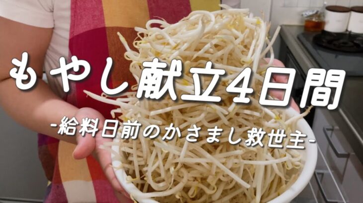 『もやし節約献立』4日間もやし生活/食費2.5万円/給料日前の救世主もやしで飽きないメインレシピ/料理vlog『縛りご飯』