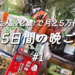 【1週間献立#1】平日5日間の晩ごはん/夫婦と2歳で食費2.5万円/料理vlog/育休中