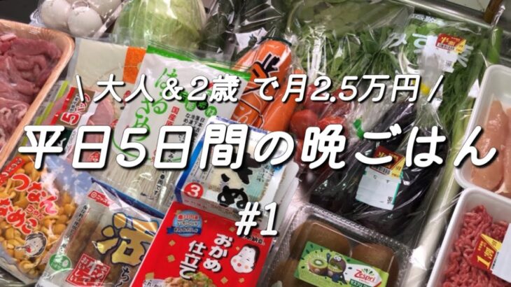 【1週間献立#1】平日5日間の晩ごはん/夫婦と2歳で食費2.5万円/料理vlog/育休中