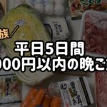 【1週間献立】5,000円以内で作る平日5日間の夜ご飯　#1 夏休みの終わりについて