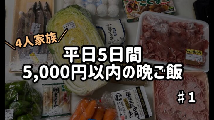 【1週間献立】5,000円以内で作る平日5日間の夜ご飯　#1 夏休みの終わりについて