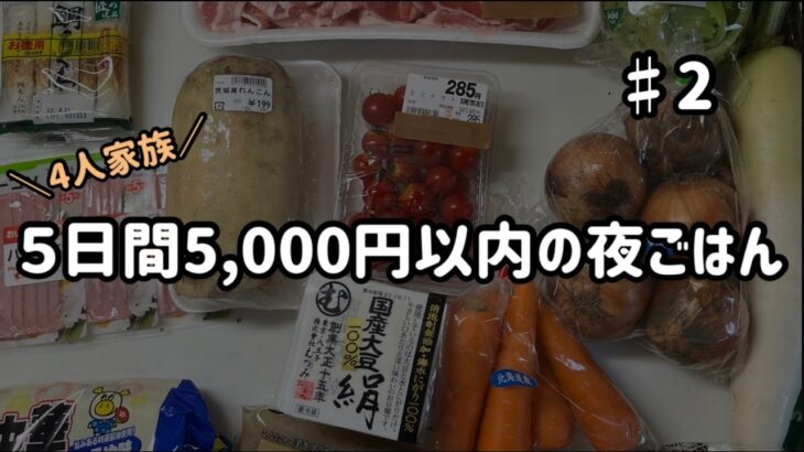 【1週間献立】まとめ買い5,000円以内で作る5日間の夜ご飯　#2 小学校高学年の勉強について