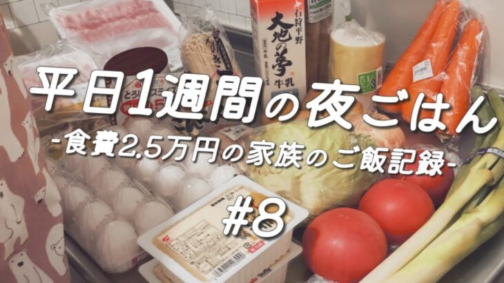 『1週間の献立#8』平日5日間の夜ご飯/夫婦食費2.5万円/レンジで作るホワイトソース/料理vlog