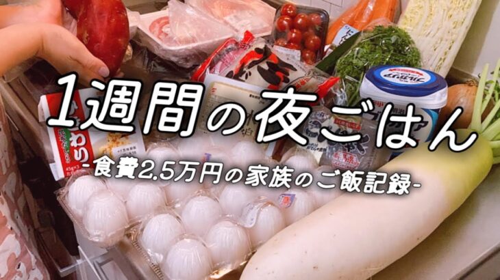 『1週間の献立#9』食費月2.5万円のゆる節約ごはん/平日5日間の晩ご飯/赤ちゃんがいる3人暮らしの料理vlog