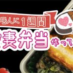 【ルームシェア】同居人のために愛妻弁当を1週間作る【お弁当】