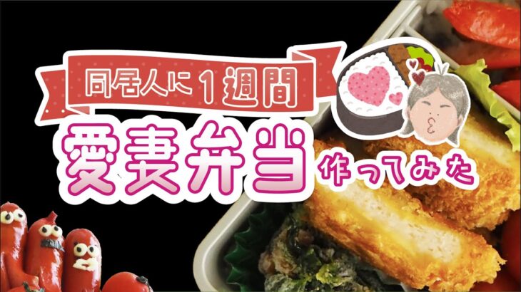 【ルームシェア】同居人のために愛妻弁当を1週間作る【お弁当】