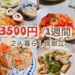 【お腹も心も満たす2人暮らし節約食事日記】1週間3500円夜献立