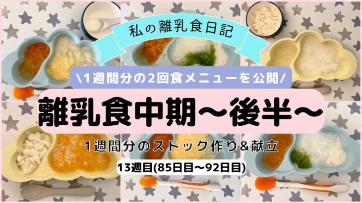 【離乳食中期】1週間分のストック作り&献立/生後8ヶ月/ハンドブレンダー使用/What my 8 month old eats in a week/Baby food prep/13週目