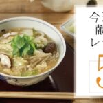 今週の献立レシピ5選🍽【きちんとキッチンbydaiei】