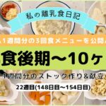 【離乳食後期】1週間分のストック作り&献立/生後10ヶ月/ハンドブレンダー使用/What my 10 month old eats in a week/Baby food prep/22週目