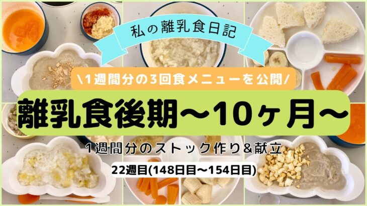 【離乳食後期】1週間分のストック作り&献立/生後10ヶ月/ハンドブレンダー使用/What my 10 month old eats in a week/Baby food prep/22週目