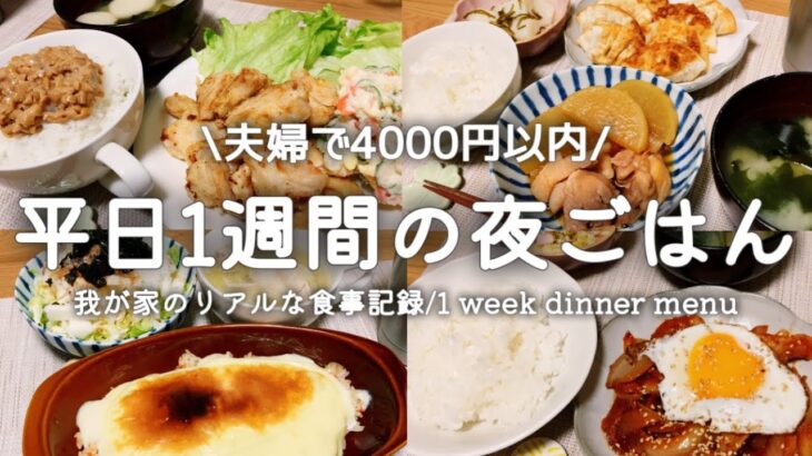 『1週間の献立』#17 平日5日間の夜ご飯/4000円以内で作る/料理vlog/1 week dinner menu