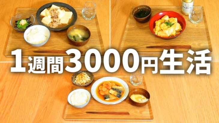 【1週間献立】たった3000円で1週間分の晩御飯ができちゃう超節約レシピ🍳【後編】