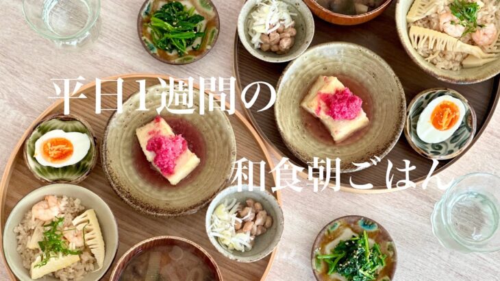 【1週間の献立】夫婦2人暮らしの朝ごはん🥢筍料理/節約食材”イワシ”レシピも🐟