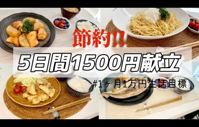 【1食約300円】節約！5日間1500円献立#6