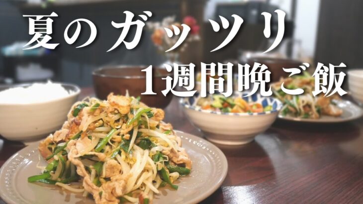 【1週間献立】夏はスタミナおかず！夏野菜たっぷり満足晩ご飯５日間