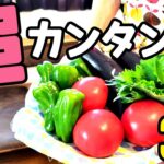 【簡単おかず】夏野菜で誰でも簡単に作れる【晩ご飯】3品紹介