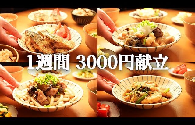 【1週間の夕飯】3000円以内！平日5日間の節約晩ごはん献立|2人暮らし