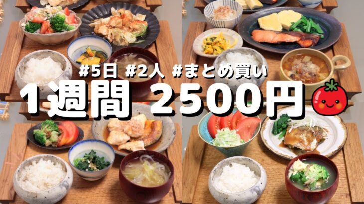 【節約レシピ】夏の夜ご飯 1週間5日の献立 おかず2500円　買い物1回まとめ買いで乗り切る (´・ω・`)（●｀ε´●）2人暮らし(461)