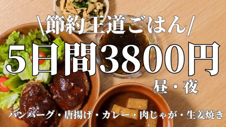 【5日3800円】節約しながら王道ご飯で胃袋を掴む5日間。2人暮らし食費3万円でやりくりする24歳主婦。ハンバーグ/唐揚げ/カレー/肉じゃが/生姜焼き/昼ご飯/晩ご飯/お弁当