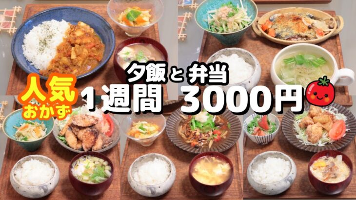 【人気おかず 1週間献立】 1週間5日 我が家で人気のおかず3000円　夜ご飯(2人)とお弁当(1人)　(´・ω・`)（●｀ε´●）2人暮らし(470)