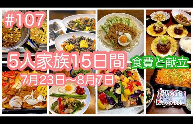 #107【５人家族15日間の食費と献立】料理する気がおきない夏