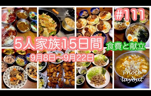 #111 【５人家族15日間の食費と献立】今月のお気に入り料理は根菜のしぐれ煮