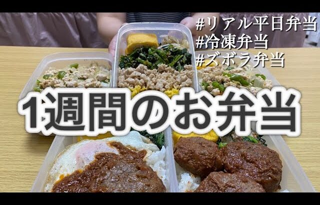 【まるごと冷凍弁当】1週間のお弁当を楽につくる！5食分のズボラ飯！