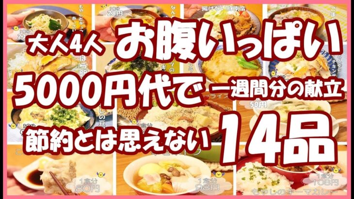 【1週間分の献立】簡単レシピ節約だと思えない美味しいご飯 概要欄からお好きなレシピにジャンプ出来ます