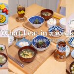 1週間の夜ごはん献立/平日5日間の食事/2人暮らし/What I eat in a week