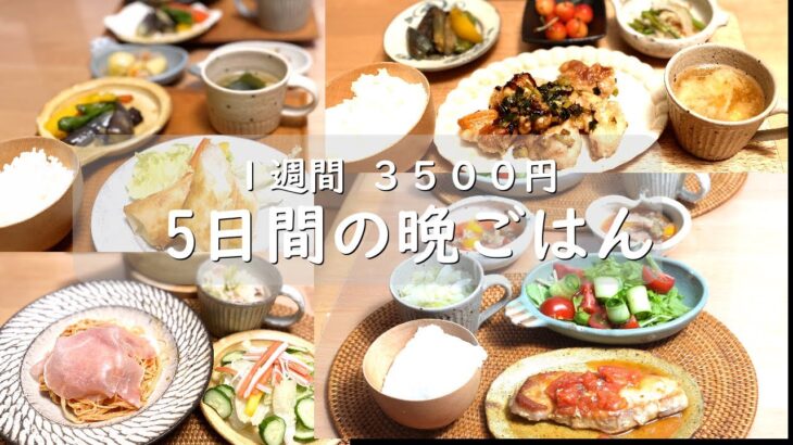 ５日間の晩ごはん【１週間３５００円】【本編＆概要欄にレシピあり】