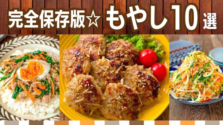 【節約レシピ】もやし人気作り置きおかず10選☆主食から副菜まで