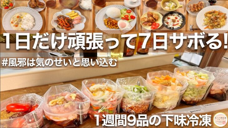 【1週間献立】下味冷凍保存食まとめて9品！買い物も作るのも週1日！秋冬の時短&簡単節約レシピ！