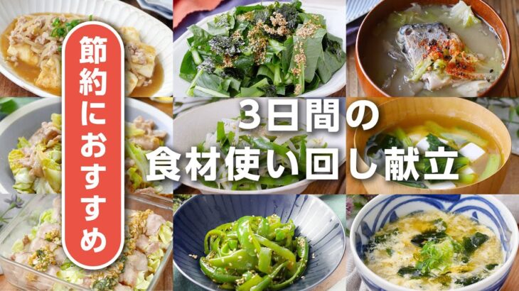 【3日間！食材使い回し献立】もやし、豆腐、小松菜、キャベツ、ピーマンを使い回し！節約にもピッタリ♪｜macaroni（マカロニ）