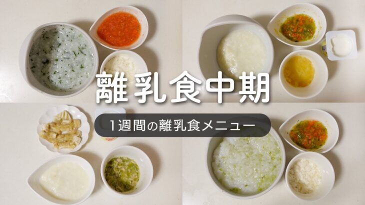 【離乳食中期】納豆大根/ツナキャベツ/ミネストローネ/1週間の離乳食メニュー【生後7-8ヶ月】