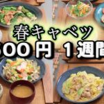 【夜ご飯 1週間献立】春キャベツの節約レシピ    1週間5日の献立 おかず2500円　(´・ω・`)（●｀ε´●）2人暮らし(3月)(525)