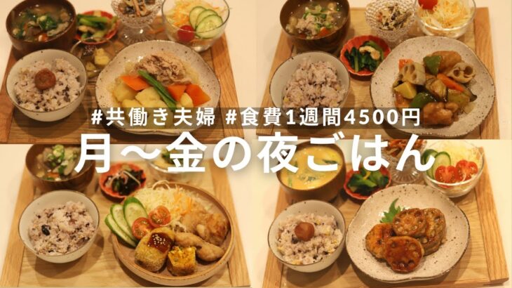 【食費1週間4500円】共働き夫婦の平日5日間の夜ごはん🍚 ｜野菜たっぷりの献立多め🥕